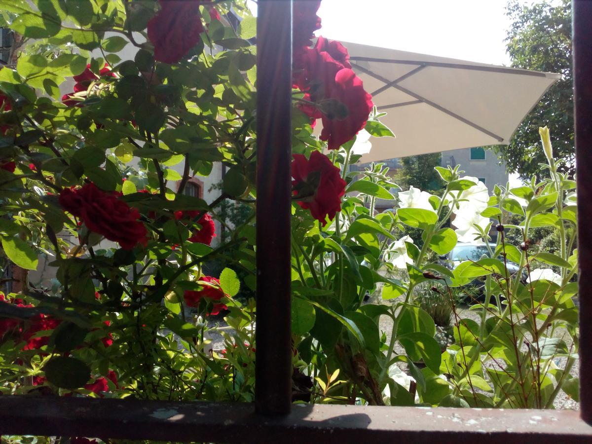 摩里诺罗索住宿加早餐旅馆 维罗纳 外观 照片